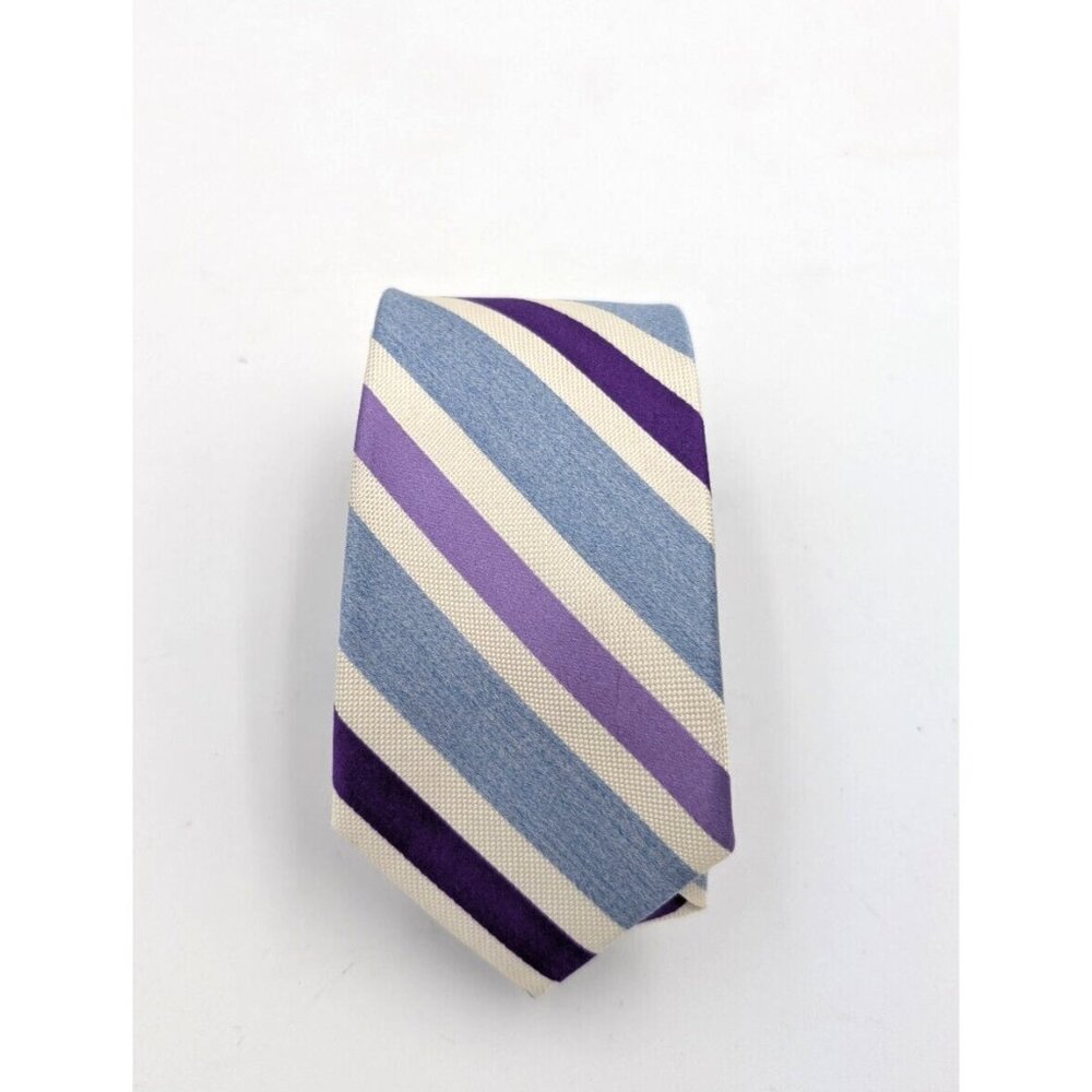 Express Men's Tie Purple Blue Striped 100% Silk Necktie Slim Skinny